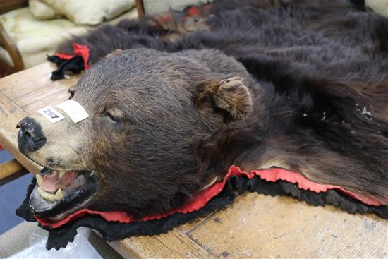 A bear skin rug